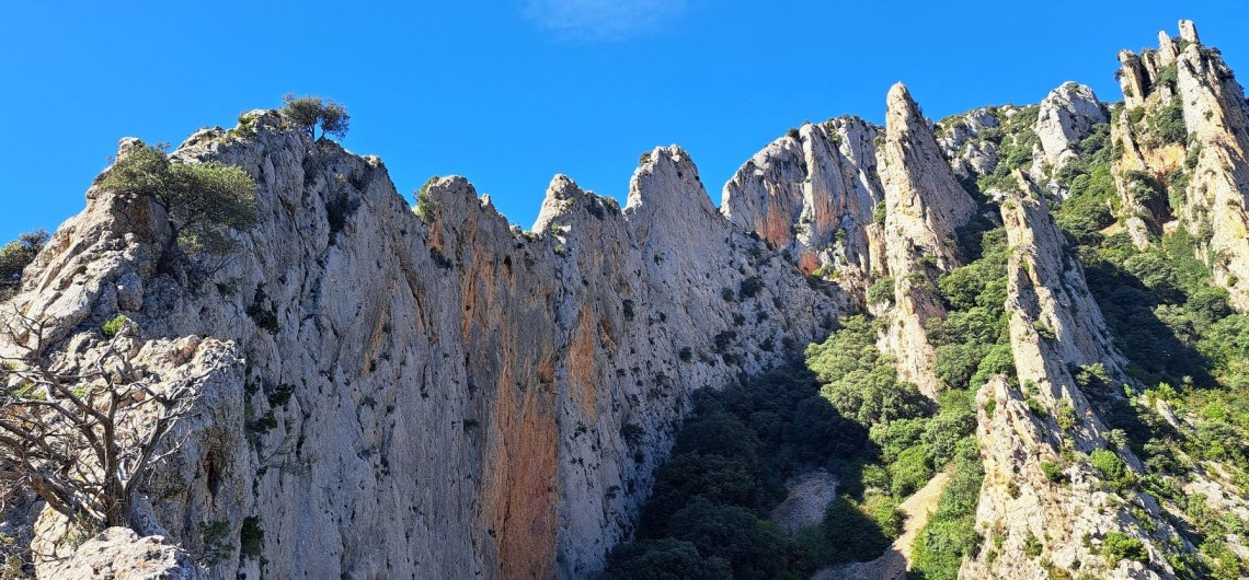 Cresta del Boron (270m/4º+)-Embalse de Vadiello-Sierra de Guara